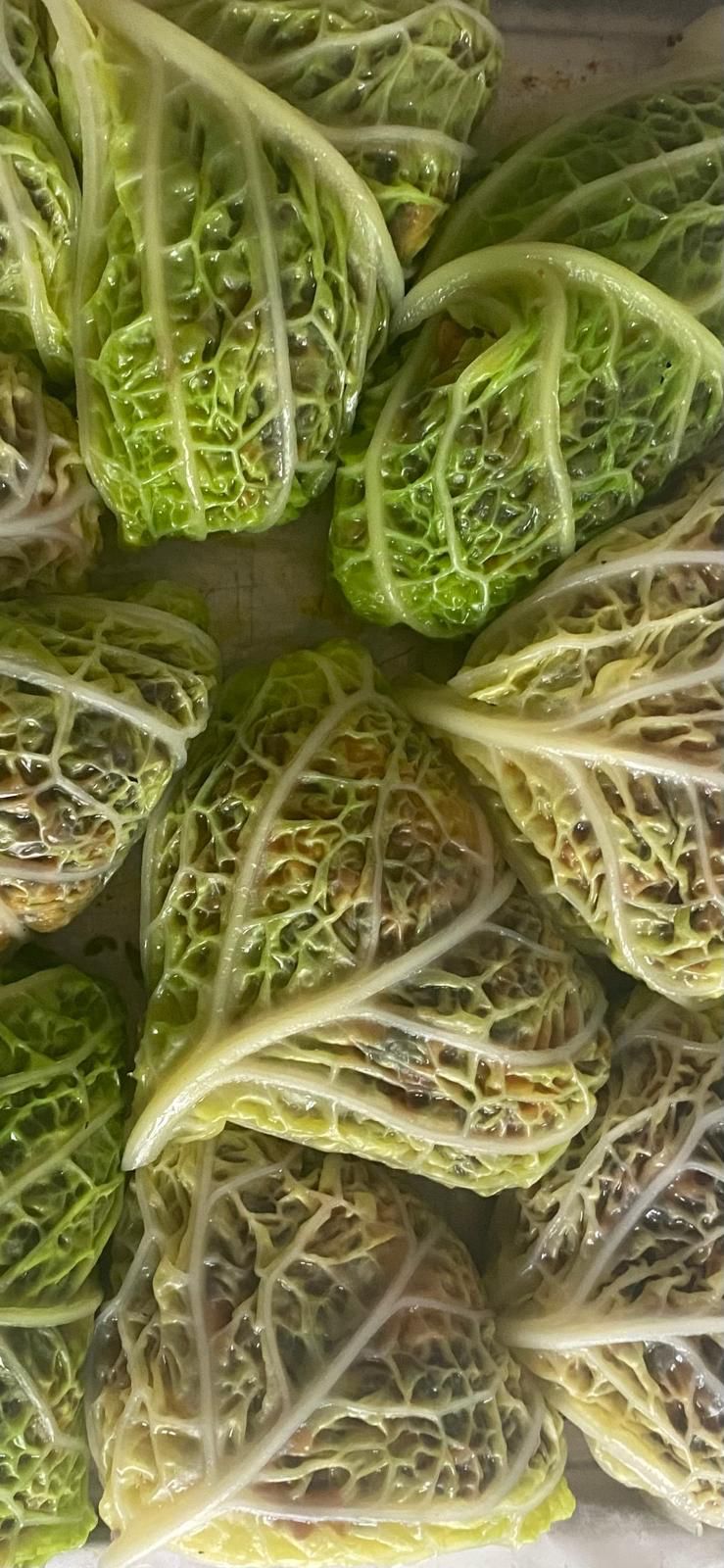 savoy cabbage rolls stuffed packed